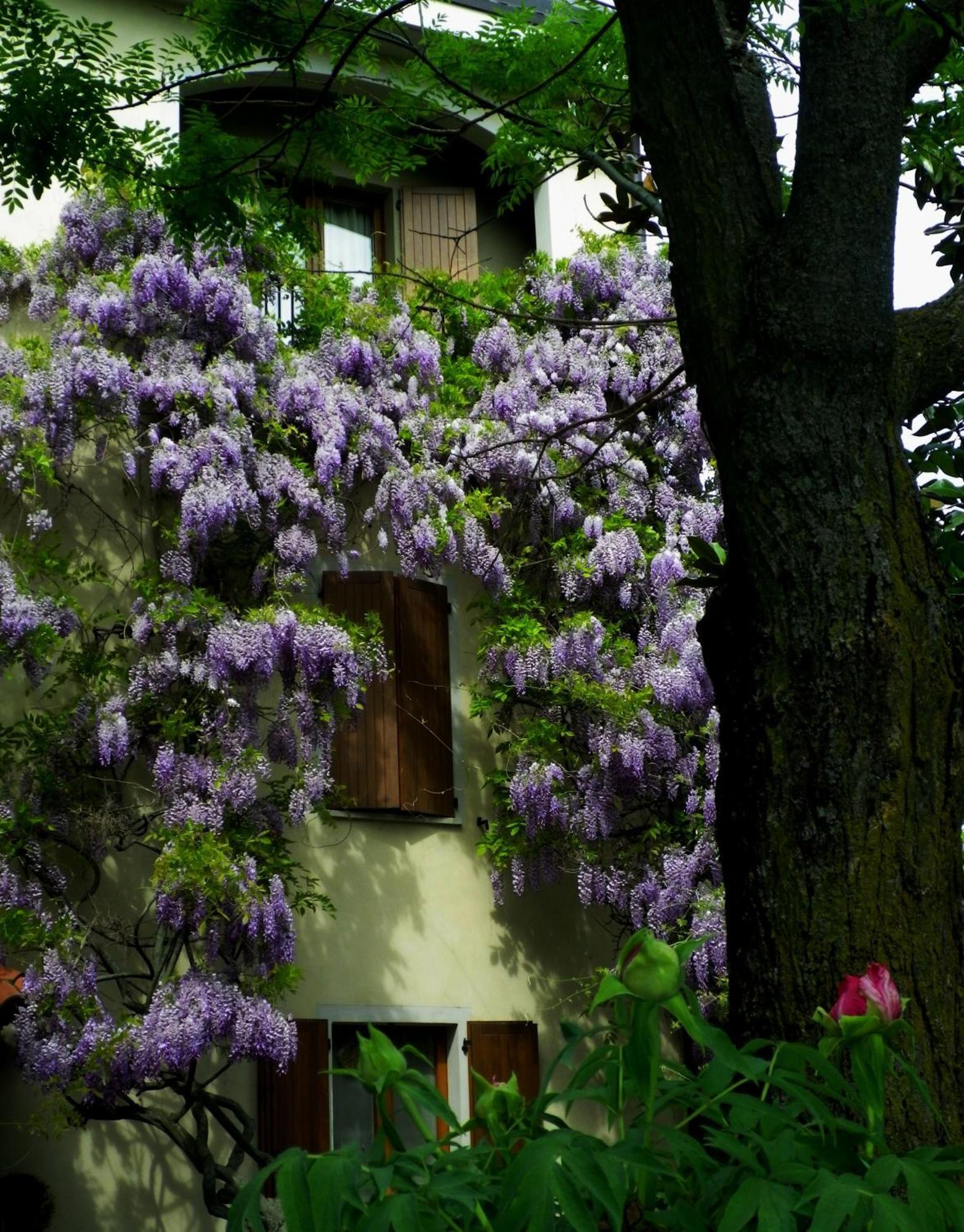 Le Querce Hotel Salsomaggiore Terme Esterno foto