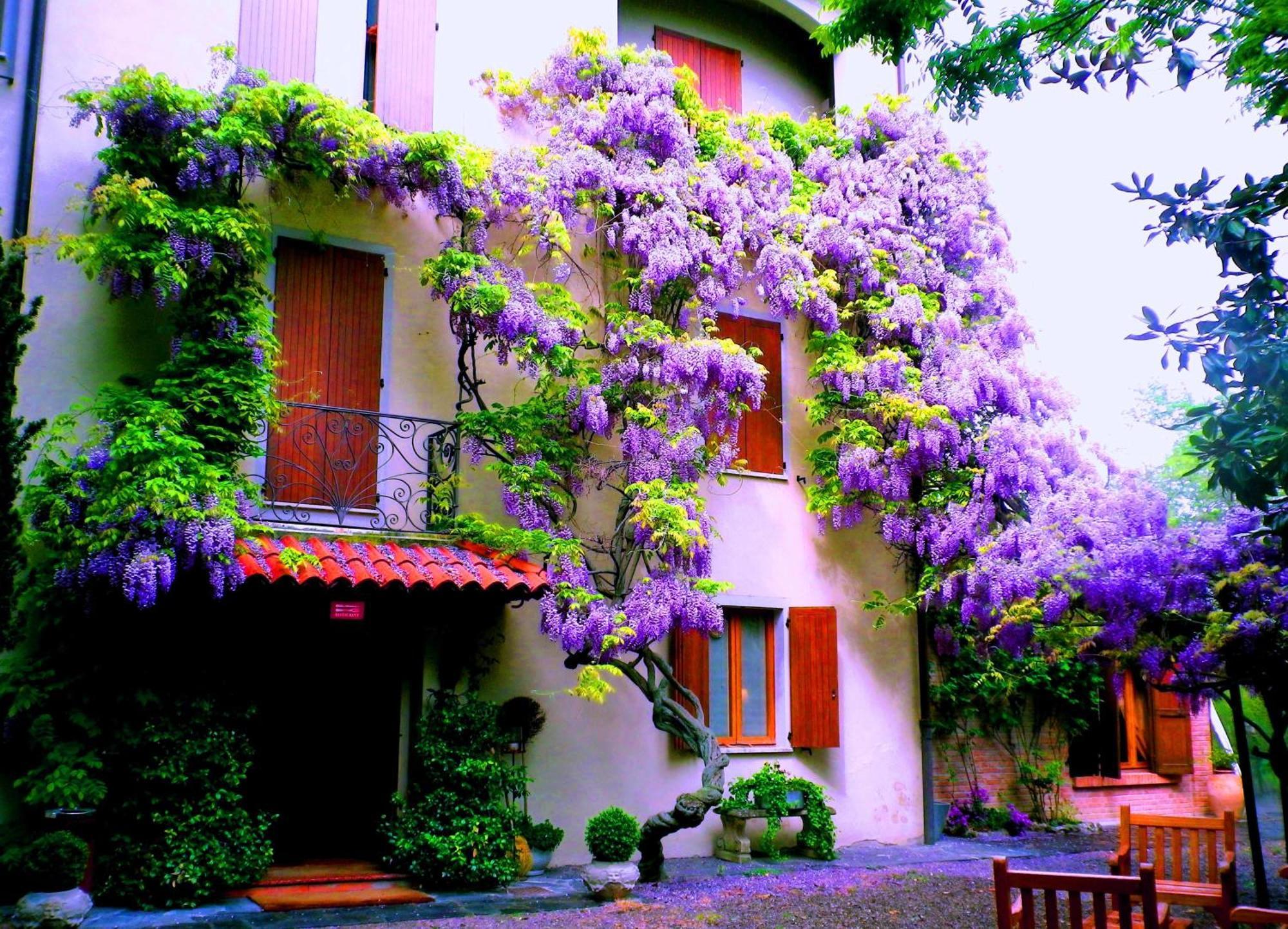Le Querce Hotel Salsomaggiore Terme Esterno foto